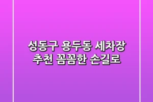 성동구 용두동 세차장 추천: 꼼꼼한 손길로!
