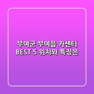 부여군 부여읍 카센터 BEST 5, 위치와 특징은?