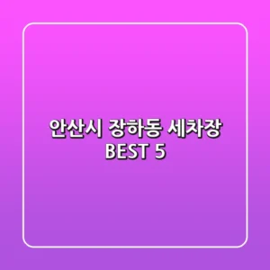 안산시 장하동 세차장 BEST 5