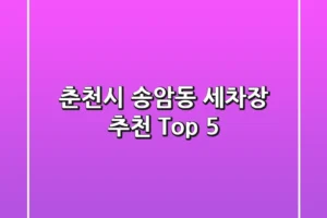 춘천시 송암동 세차장 추천 Top 5