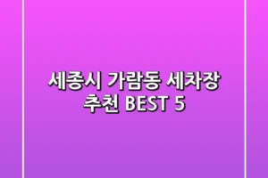 세종시 가람동 세차장 추천 BEST 5