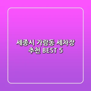 세종시 가람동 세차장 추천 BEST 5