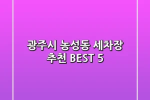 광주시 농성동 세차장 추천 BEST 5