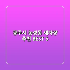 광주시 농성동 세차장 추천 BEST 5