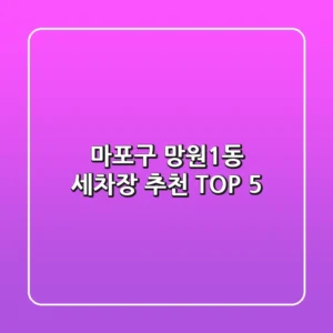 마포구 망원1동 세차장 추천 TOP 5