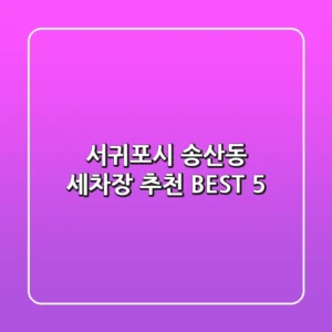 서귀포시 송산동 세차장 추천 BEST 5