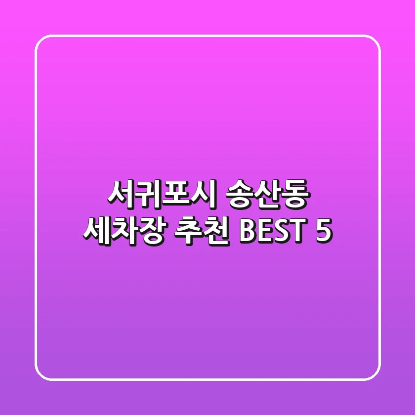 서귀포시 송산동 세차장 추천 BEST 5