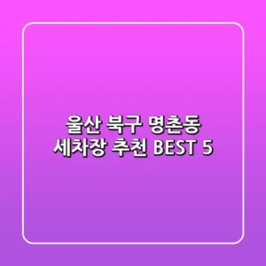 울산 북구 명촌동 세차장 추천 BEST 5