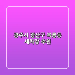 광주시 광산구 복룡동 세차장 추천
