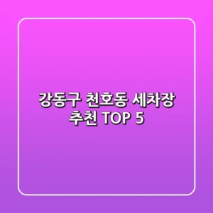 강동구 천호동 세차장 추천 TOP 5