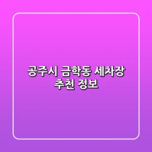 공주시 금학동 세차장 추천 정보