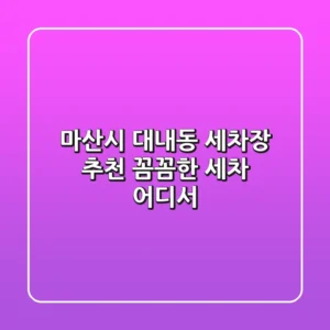 마산시 대내동 세차장 추천: 꼼꼼한 세차 어디서?