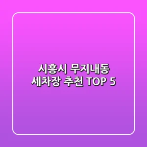 시흥시 무지내동 세차장 추천 TOP 5
