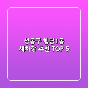 성동구 행당1동 세차장 추천 TOP 5