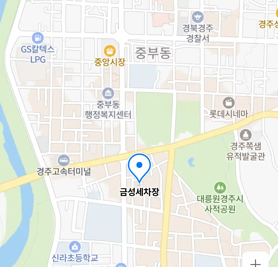 금성세차장