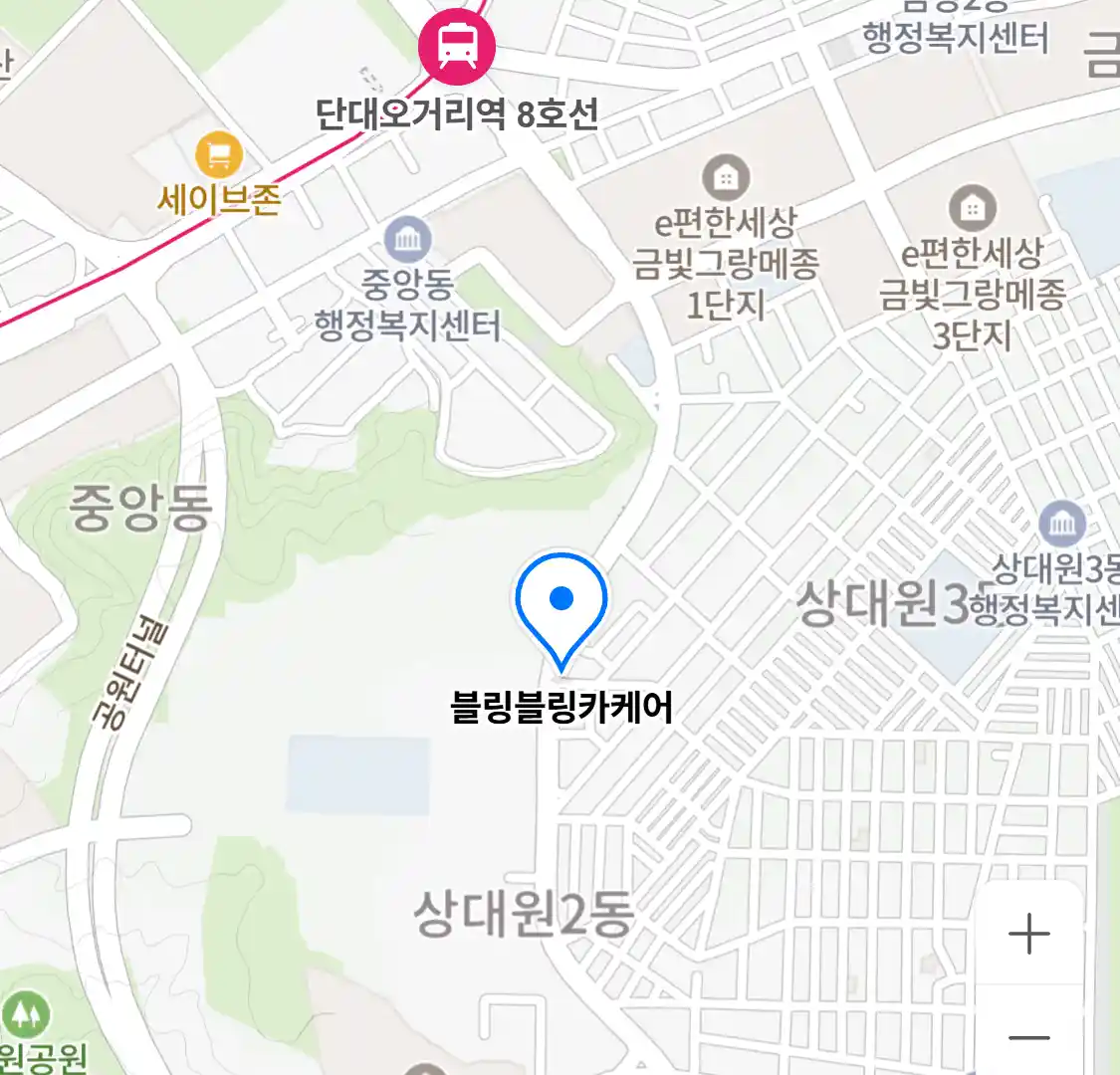 블링블링카케어