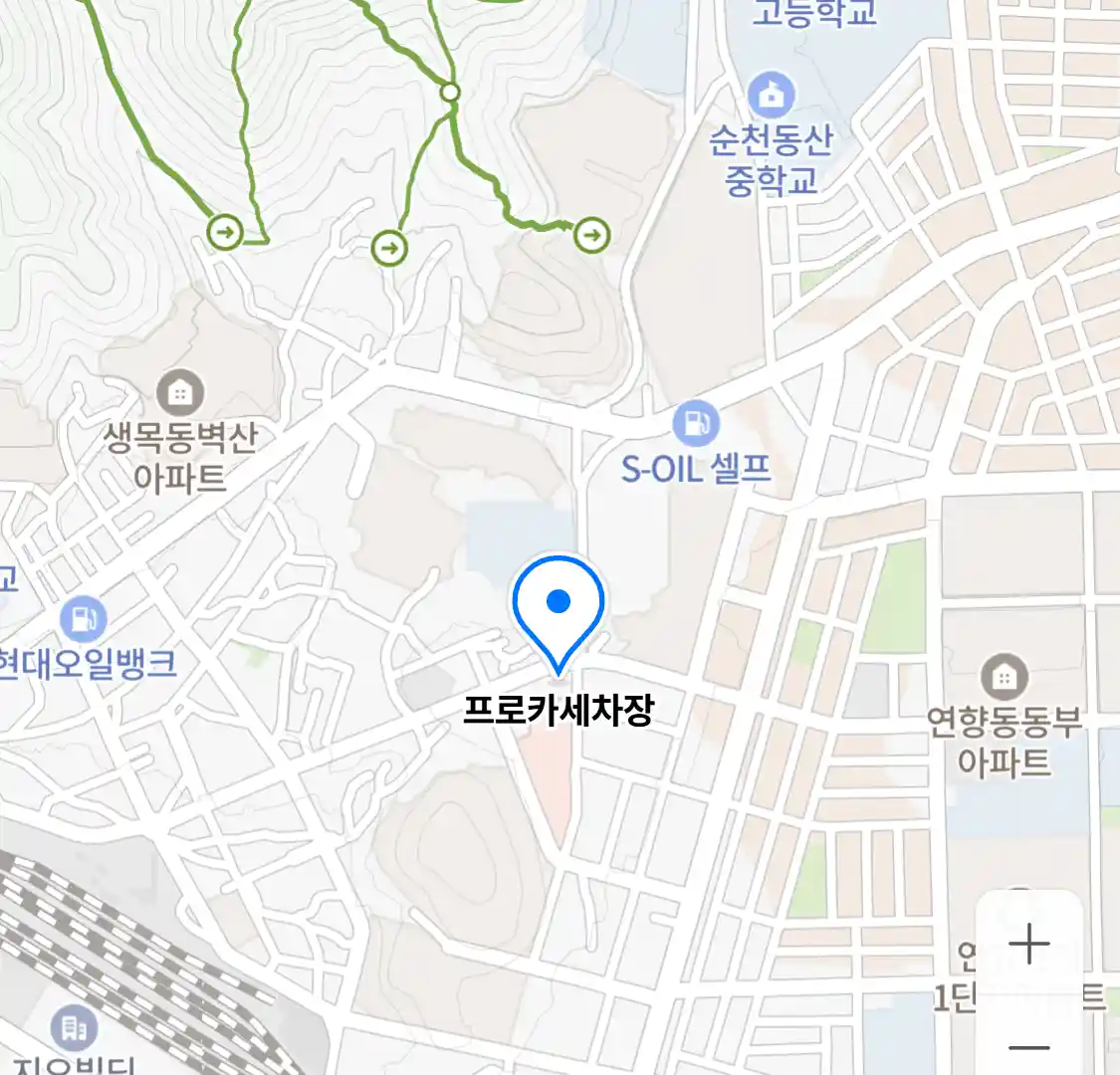 프로카세차장