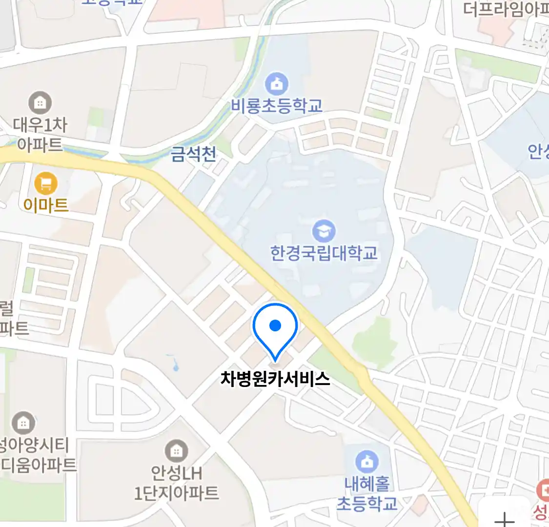 차병원카서비스