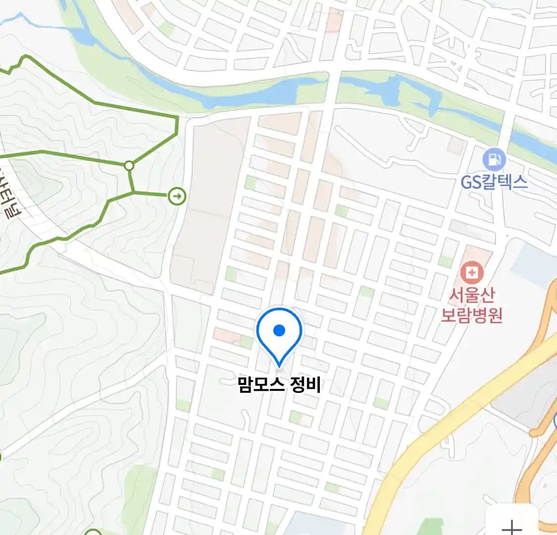 맘모스 정비