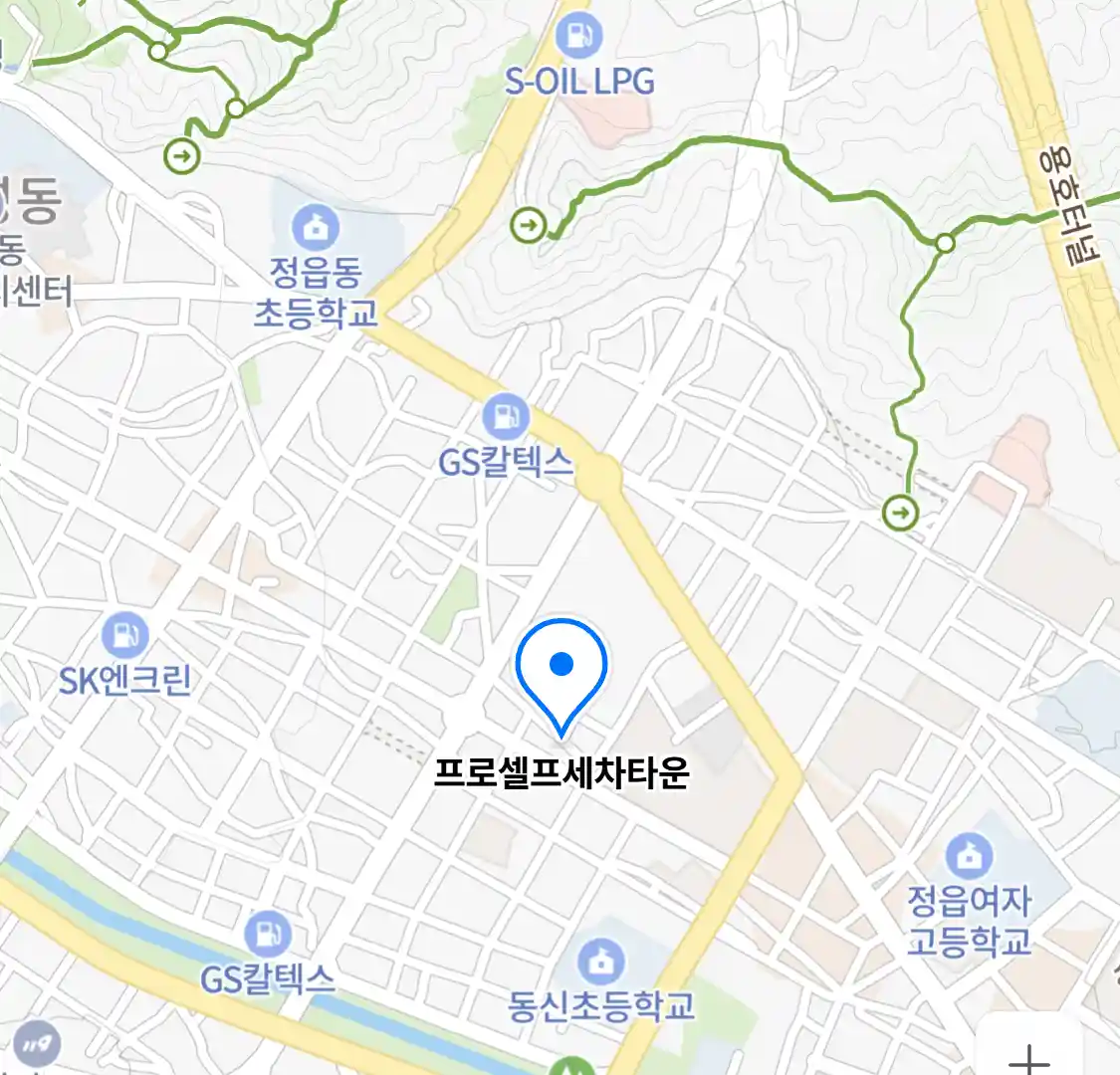 프로셀프세차타운