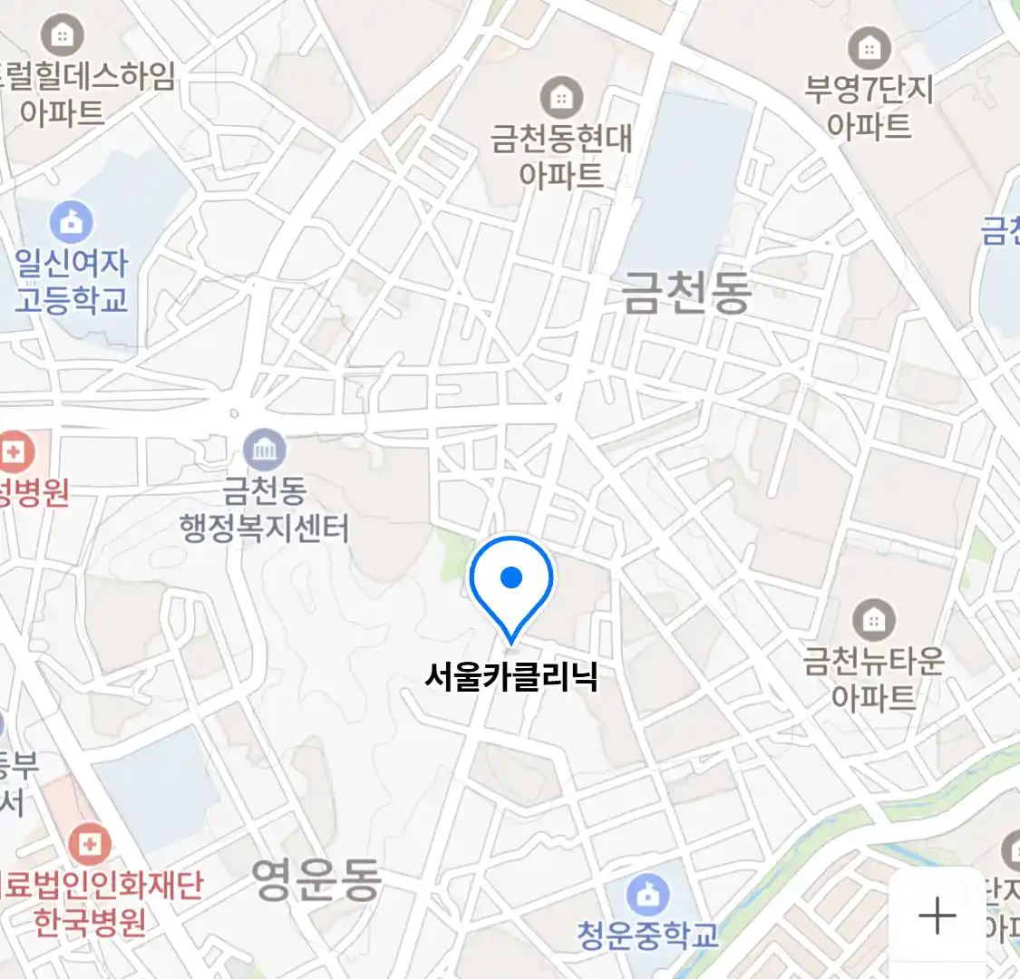 서울카클리닉