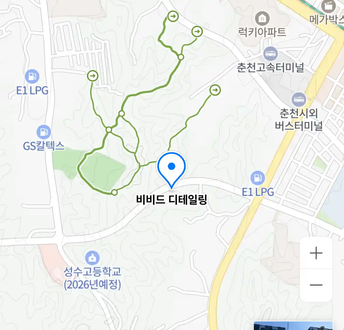 비비드 디테일링