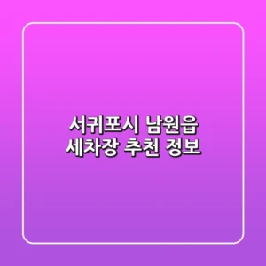 서귀포시 남원읍 세차장 추천 정보