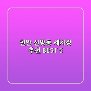 천안 신방동 세차장 추천 BEST 5