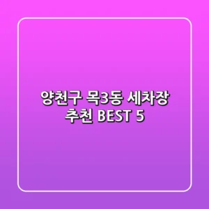양천구 목3동 세차장 추천 BEST 5