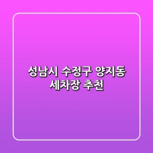 성남시 수정구 양지동 세차장 추천