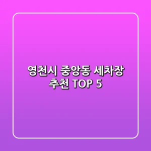 영천시 중앙동 세차장 추천 TOP 5
