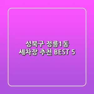 성북구 정릉1동 세차장 추천 BEST 5