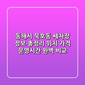 동해시 묵호동 세차장 정보 총정리 - 위치, 가격, 운영시간 완벽 비교