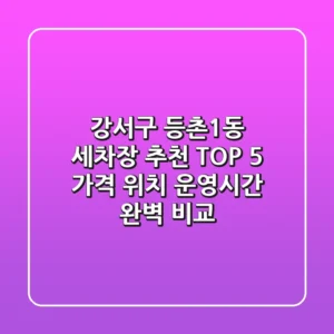 강서구 등촌1동 세차장 추천 TOP 5 - 가격, 위치, 운영시간 완벽 비교