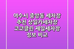 여수시 중앙동 세차장 추천: 상일카세차장, 코코클린, 제일세차장 정보 비교