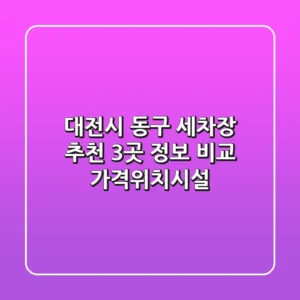 대전시 동구 세차장 추천 - 3곳 정보 비교 (가격/위치/시설)