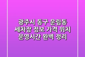 광주시 동구 운림동 세차장 정보: 가격, 위치, 운영시간 완벽 정리