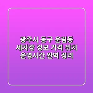 광주시 동구 운림동 세차장 정보: 가격, 위치, 운영시간 완벽 정리