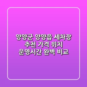 양양군 양양읍 세차장 추천: 가격, 위치, 운영시간 완벽 비교