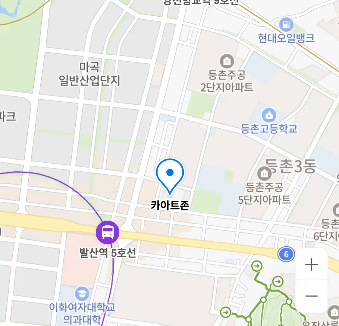 카아트존 위치