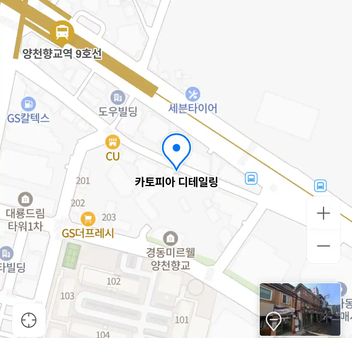 카토피아 디테일링 위치