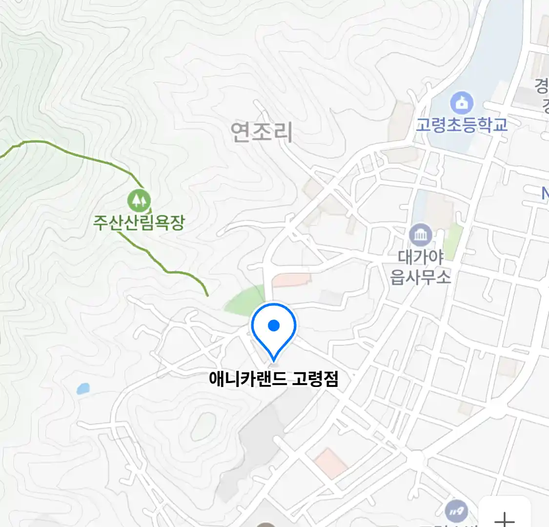 애니카랜드 고령점