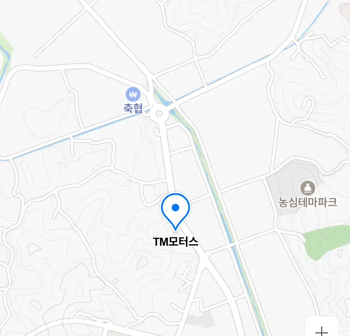 TM모터스