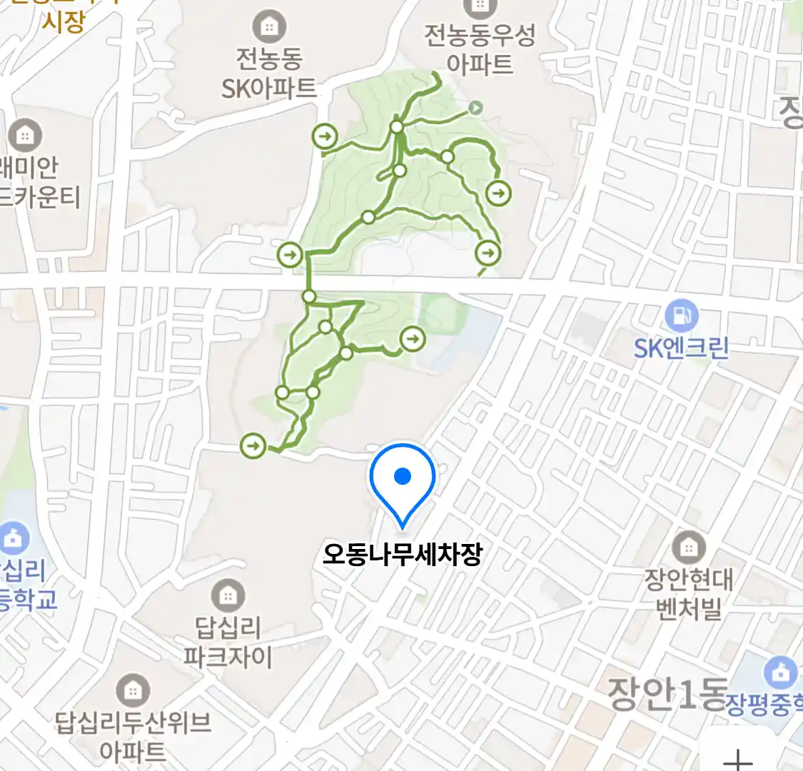 오동나무세차장
