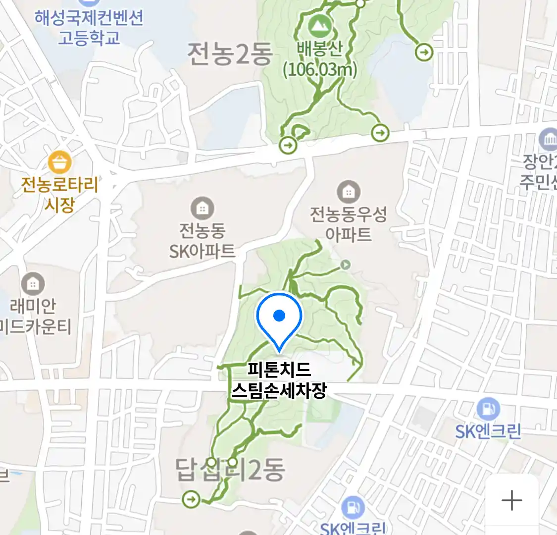 피톤치드 스팀손세차장