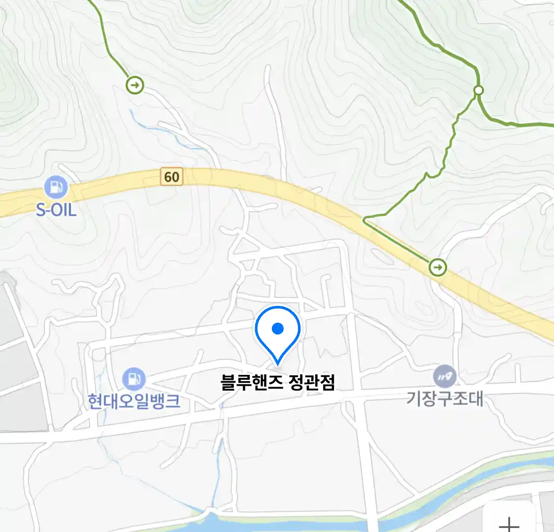 블루핸즈 정관점