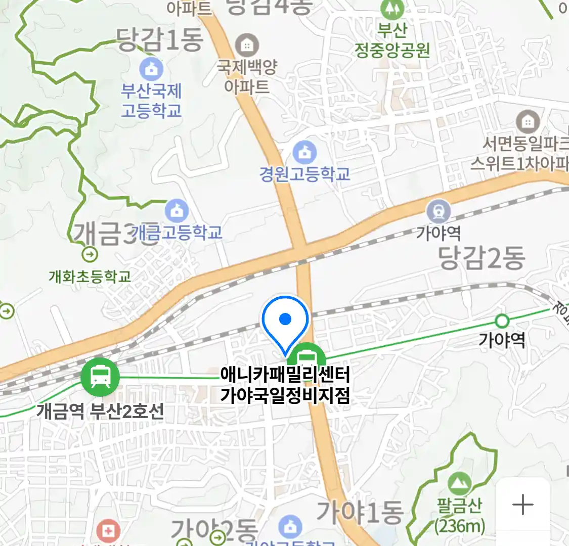 애니카패밀리센터 가야국일정비지점