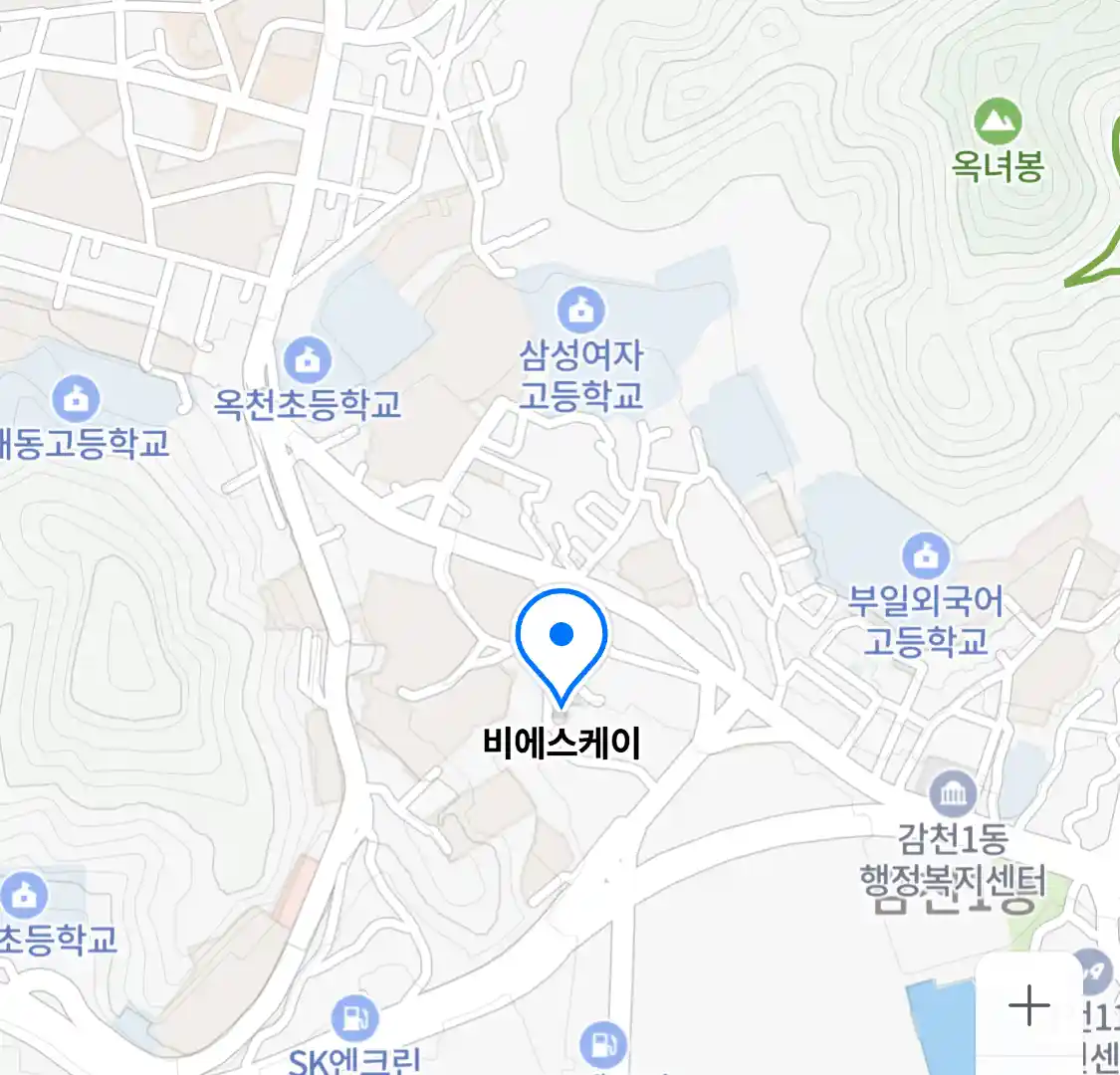 비에스케이
