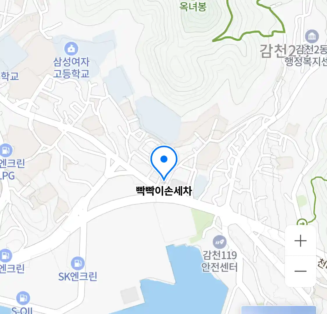 빡빡이손세차