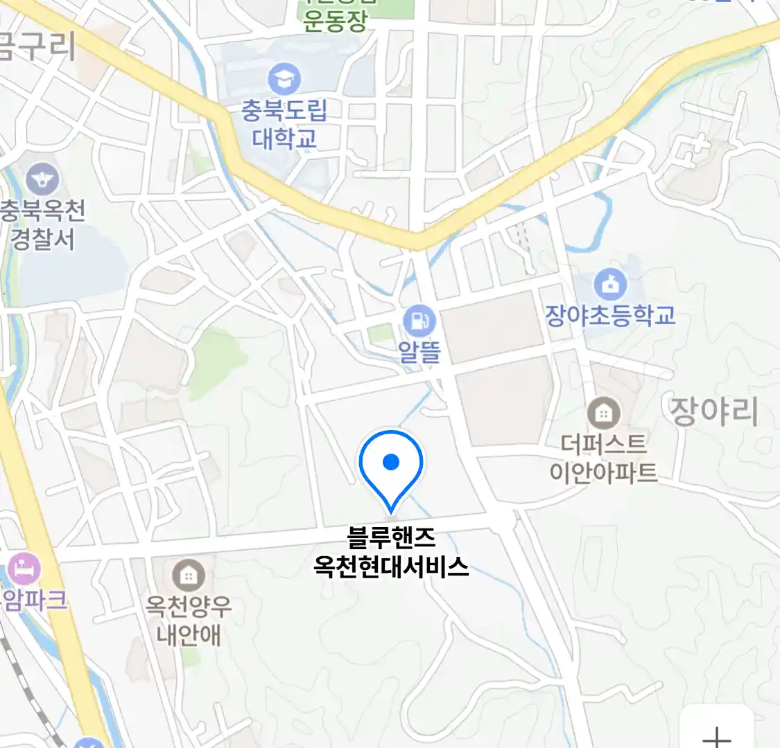 블루핸즈 옥천현대서비스